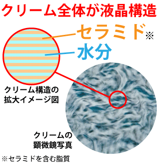 ティモティア保水バリアクリーム 液晶構造