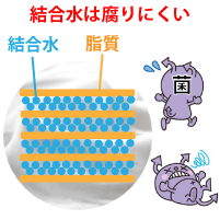 ティモティア 防腐剤